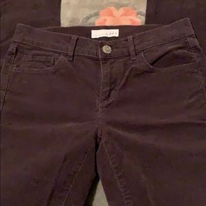 Loft brown corduroys size 25